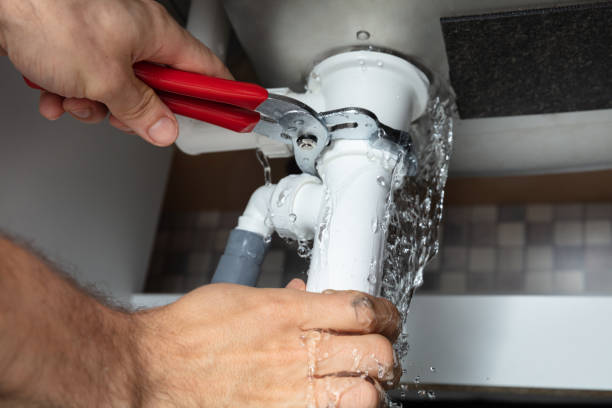 Best Water damage restoration services  in Al Creek, CO