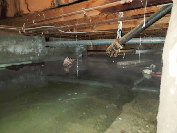 Best Commercial water damage restoration  in Al Creek, CO