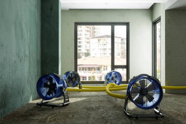 Best Sewage cleanup and water damage restoration  in Al Creek, CO